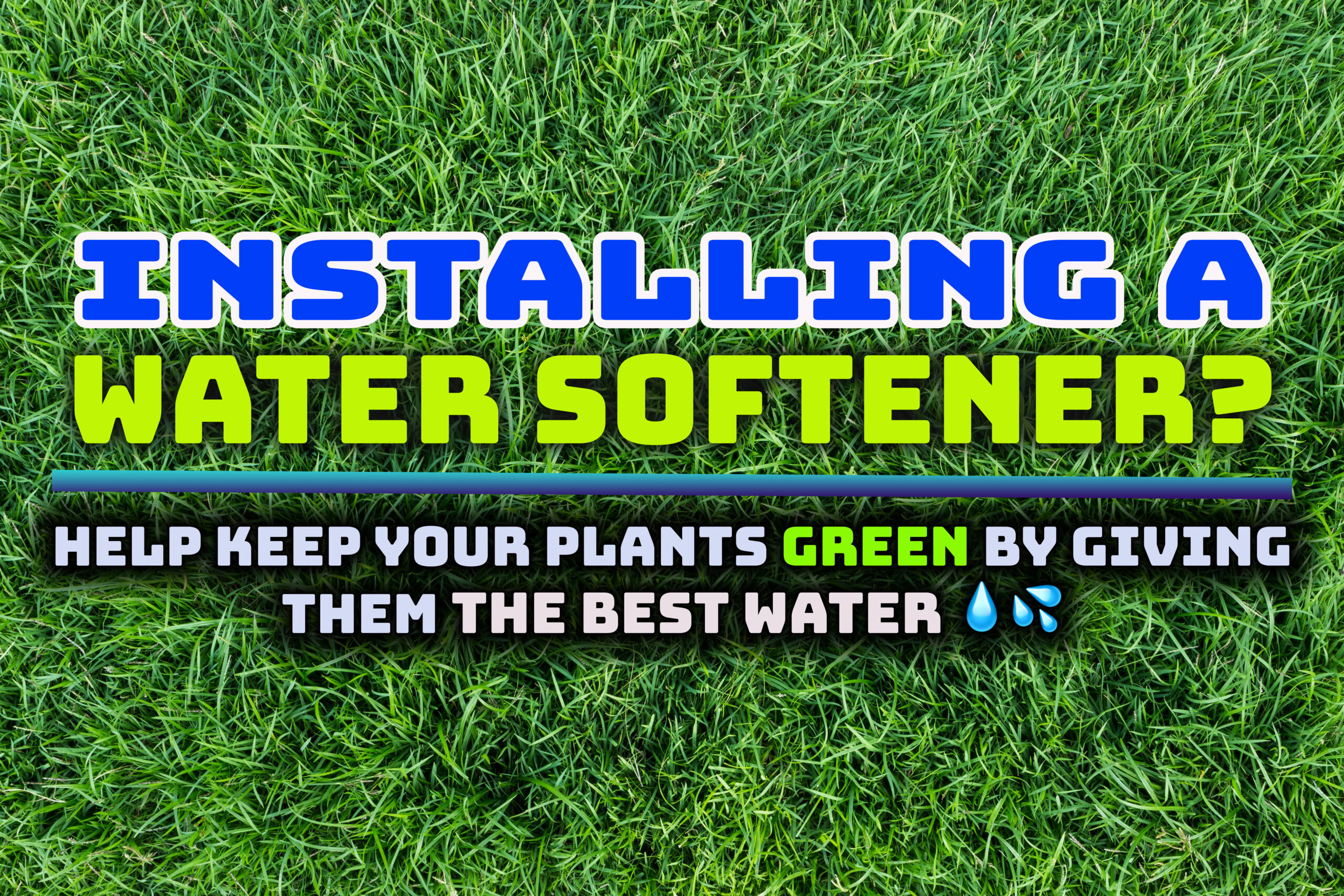 Soft water is not always the best option for your plants. Here are the things you need to do to give your plants the best water.